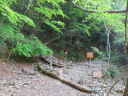 尾鈴山登山口