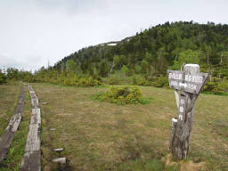 田代湿原へ