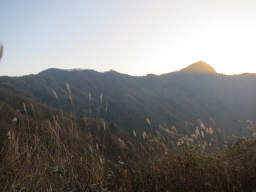 林道から冠山が見える