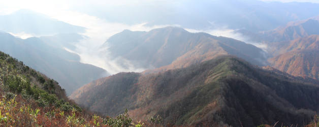 紅葉の山に雲海