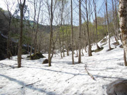 沢から右手の尾根へ