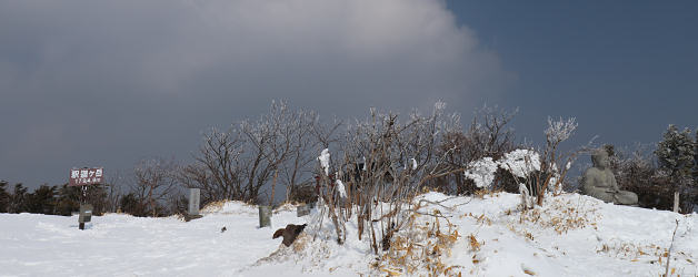 釈迦ヶ岳山頂