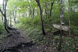 小道を進むと登山道に合流