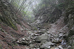 沢登りは続く