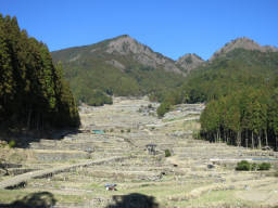 下山して鞍掛山を振り返る