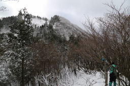 見えているのは山頂だろうか