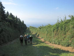 笹壁の登山道