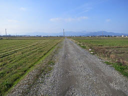 平尾台を見ながら帰ります