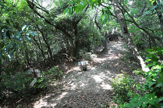 御所ヶ岳への縦走路