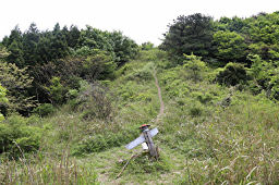 分岐が多いので注意が必要