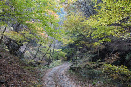 駒形登山口へ下山