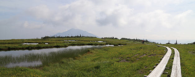 アヤメ平から燧ヶ岳を望む