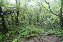 ヤセオネ峠へ降りていく