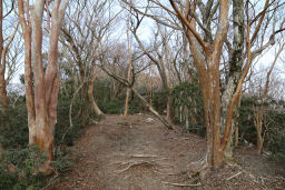 縦走路を歩く