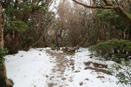 奥の方は積雪