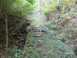 谷の下山道は荒れている