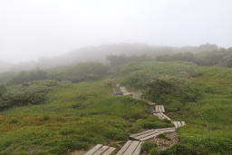 木道登場