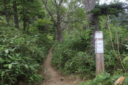 下山は馬の背方面へ