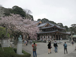 桜咲く長谷寺