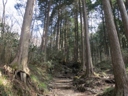 公時神社の裏手を進む