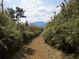 金時山を下ると道は緩やか