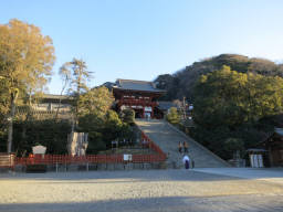 鶴岡八幡宮