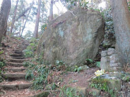 衣張山への緩やかな登り