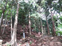 大山登山道