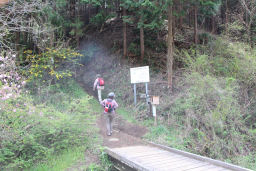 小川の橋を渡る