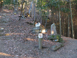 下社経由か山頂直登か、どちらか悩む