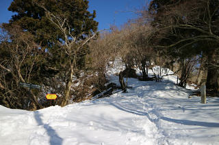 ヤビツ峠との分岐