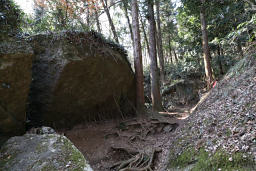 岩が動かぬよう細枝で支える