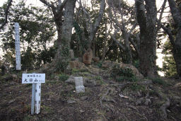 祠のある大日山山頂