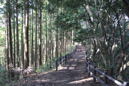 良く整備された遊歩道