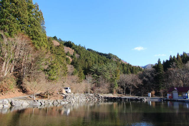 池ではなくプール