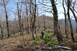 山頂が見えてくる