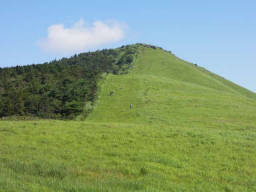 県境を挟んで色が違う