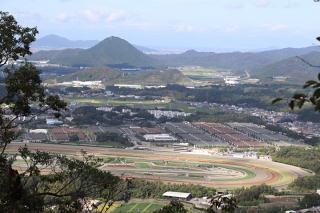 栗東のトレセン