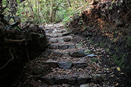 石段で山道保護