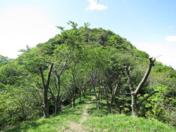 山頂が見えてくる