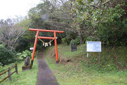 鳥居をくぐって山へ