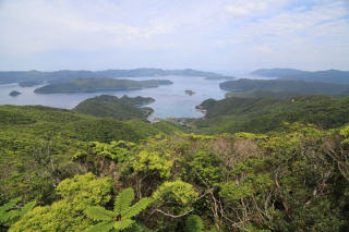 高知山展望台