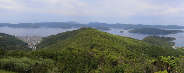 高知山からの展望