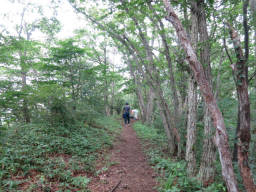 稜線に出て連行山へ