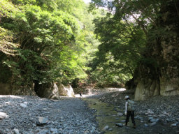 水量は少ない