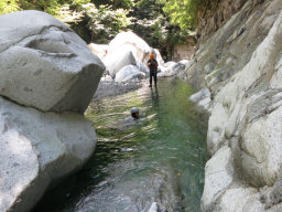 巻けるがあえて水浴び