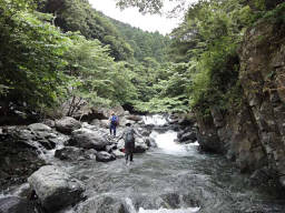 新萱橋の少し下流から入渓