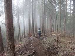 烏尾尾根を下る