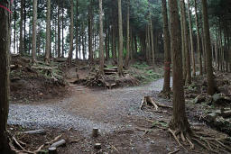 下山はふれあいの村方面へ