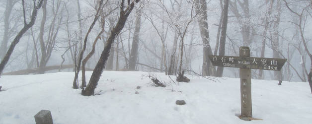 雪が積もる加入道山頂